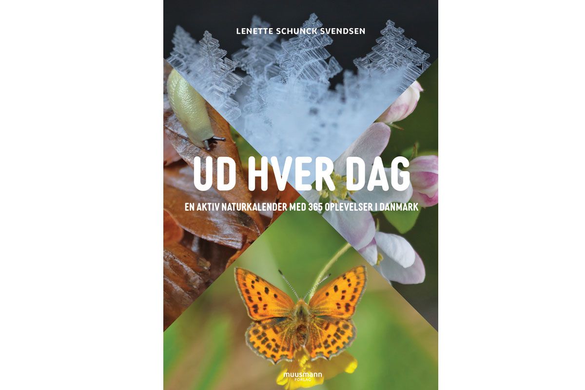 Ud-hver-dag.jpg