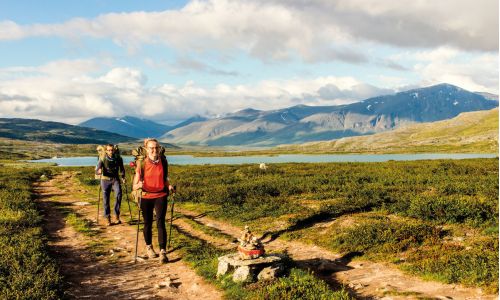 14 gode begynderruter i Sverige