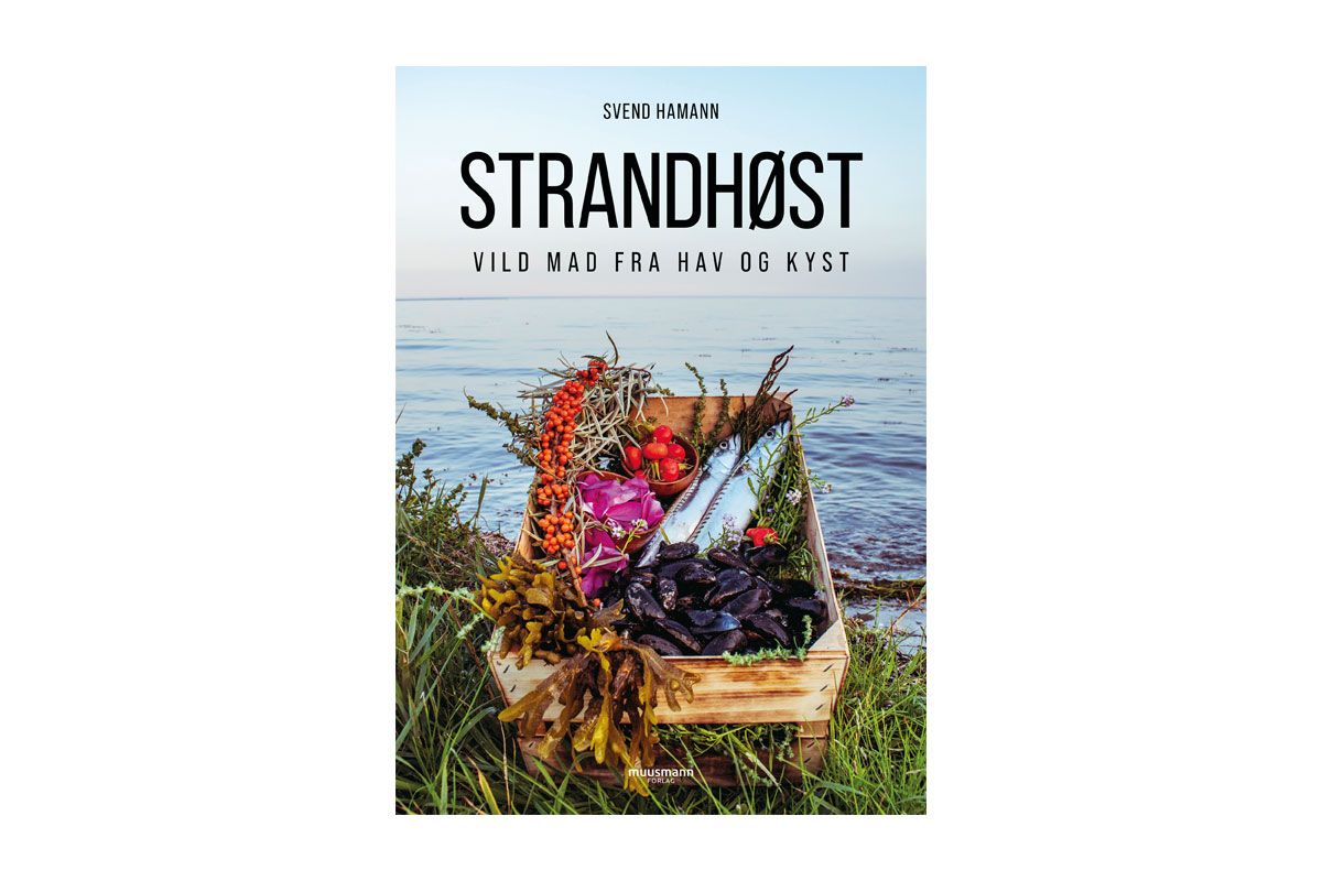 Strandhoest-forside.jpg